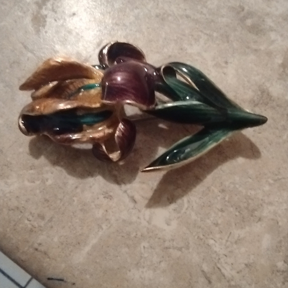 Boston MFA (Museum of Fine Arts) IRIS Enamel Brooch - Picture 11 of 13